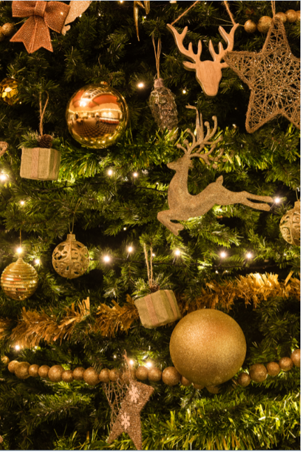 Dunkeld House Hotel Festive00005