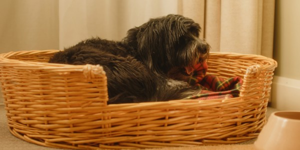 Balmoral Arms Lifestyle00013