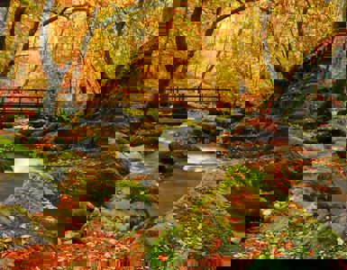 Autumn Walks in the Lake District ?? ''