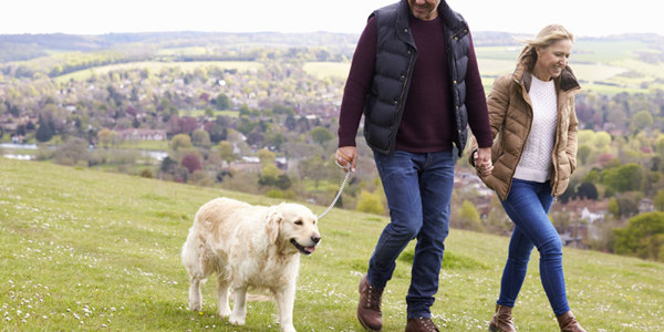 dog friendly staycation destinations uk ?? ''