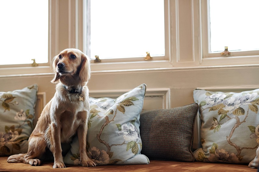 Loch Fyne Hotel And Spa Lifestyle00012