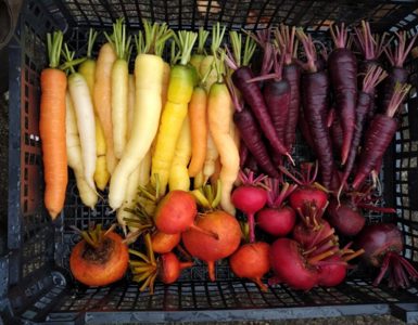 The Kitchen Garden at Dunkeld House Hotel ?? ''
