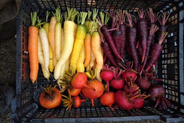 The Kitchen Garden at Dunkeld House Hotel ?? ''