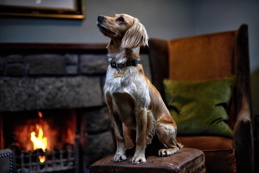 Loch Fyne Hotel And Spa Lifestyle00011