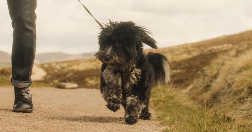 Balmoral Arms Lifestyle00017