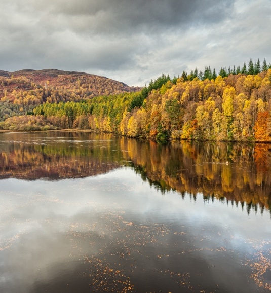 Copy Of FC Castlesuite CAS SUITE (Billboard (Landscape)) (2)