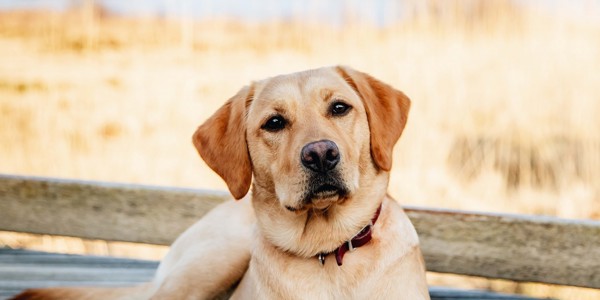 Isle Of Mull Hotel And Spa Wilderness Spa 3809