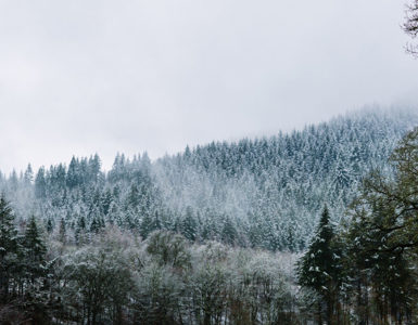 Things to do in Perthshire in Winter ?? ''