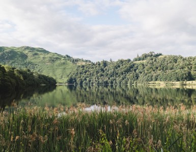 Daffodil Hotel And Spa Exterior00020