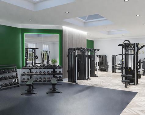 TH Gym 6