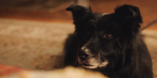 Balmoral Arms Lifestyle00016