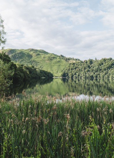 Daffodil Hotel And Spa Exterior00021