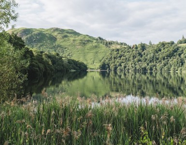 Daffodil Hotel And Spa Exterior00021