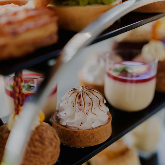 Daffodil Afternoon Tea Close Up